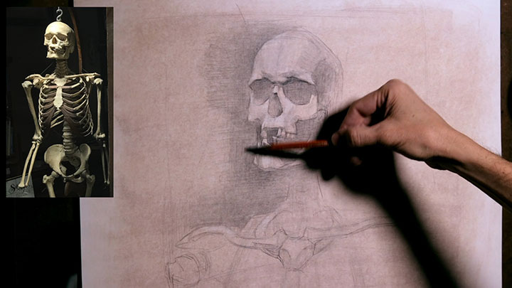 Skeletal Study by Joseph Todorovitch